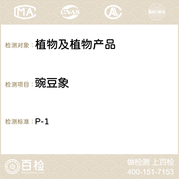 豌豆象 中国进出境植物检疫手册 7.2.4 豌豆象的检验与鉴定 P-1