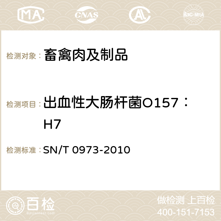 出血性大肠杆菌O157：H7 进出口肉、肉制品以及其他食品中肠出血性大肠杆菌O157:H7检测方法 SN/T 0973-2010