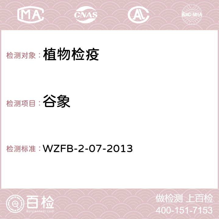 谷象 谷象检疫鉴定方法 WZFB-2-07-2013