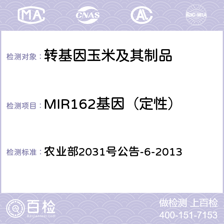 MIR162基因（定性） 转基因植物及其产品成分检测 抗虫玉米MIR162及其衍生品种定性PCR方法 农业部2031号公告-6-2013