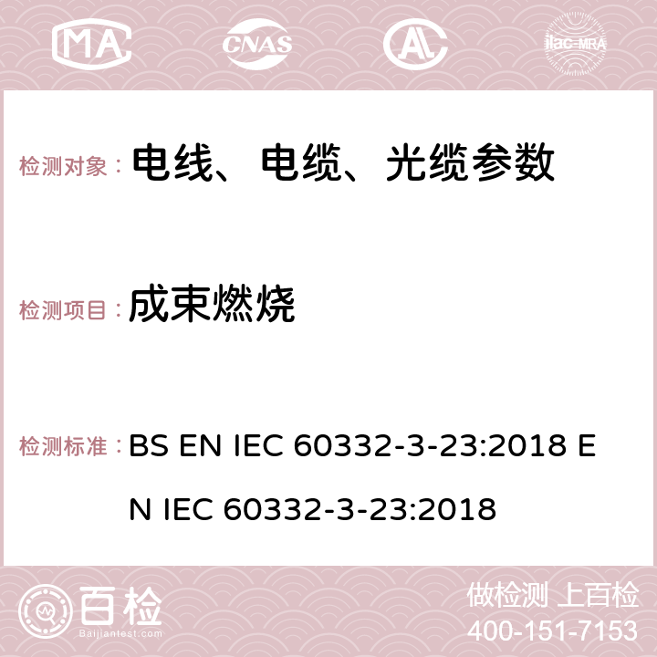 成束燃烧 电缆和光缆在火焰条件下的燃烧试验 第3-23部分：垂直安装的成束电线电缆火焰垂直蔓延试验B类 BS EN IEC 60332-3-23:2018 EN IEC 60332-3-23:2018