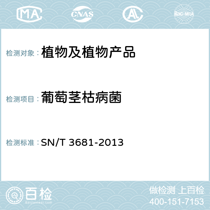 葡萄茎枯病菌 SN/T 3681-2013 魔芋细菌性叶斑病菌检疫鉴定方法