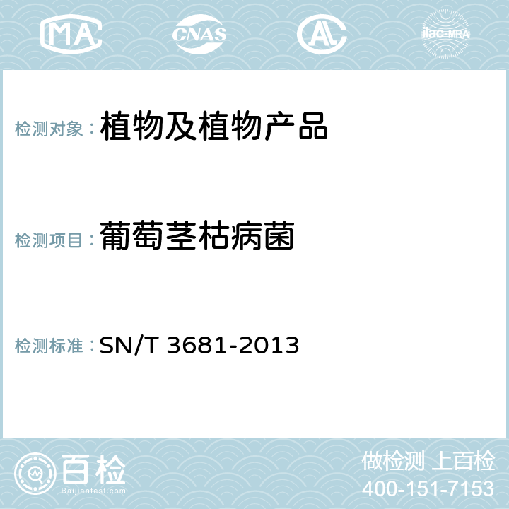 葡萄茎枯病菌 葡萄茎枯病菌检疫鉴定方法 SN/T 3681-2013