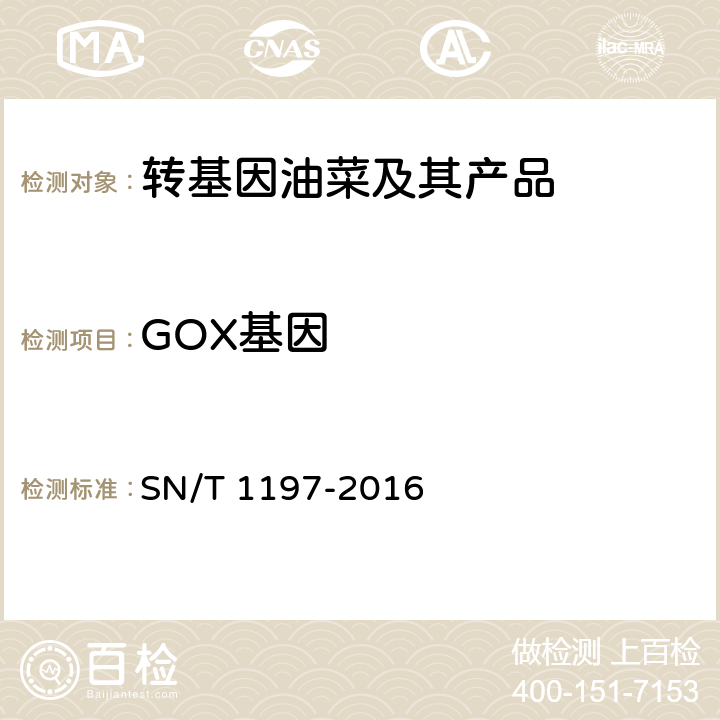 GOX基因 SN/T 1197-2016 油菜中转基因成分检测 普通PCR和实时荧光PCR方法