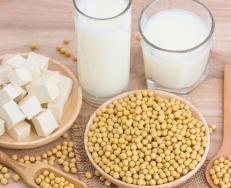 发酵性豆制品中食品营养检测的检测