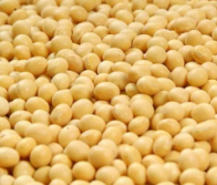 非发酵豆制品中食品营养检测的检测