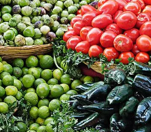 水果、蔬菜脆片中转基因|重金属|营养成分|农药残留的检测