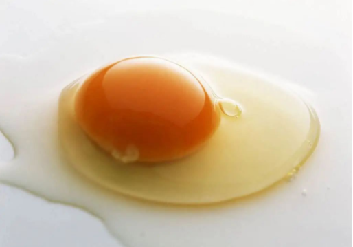 蛋制品检测内容和检测标准