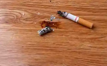 耐香烟灼烧性能检测