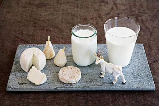 牛奶和羊奶，哪样能增强孩子抵抗力？
