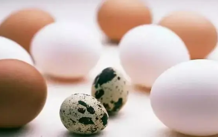 蛋类质量检测报告去哪做？