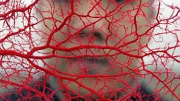 人造血管测试项目和标准