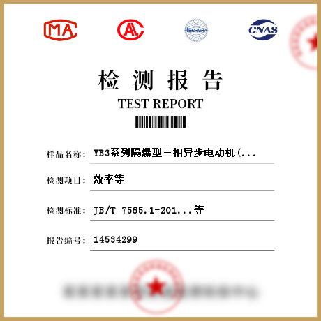 YB3系列隔爆型三相异步电动机(基座号63~355)检测