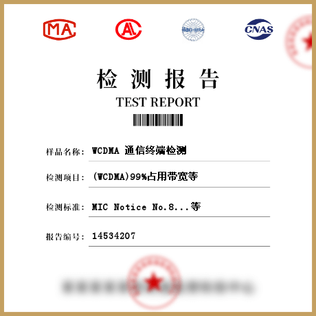 WCDMA 通信终端检测