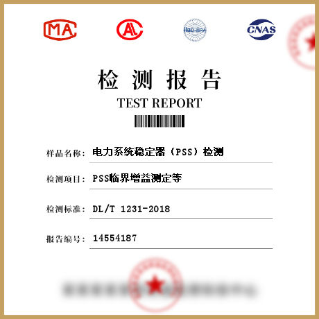 电力系统稳定器（PSS）检测