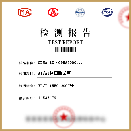 CDMA 1X（CDMA2000）移动通信基站子系统检测