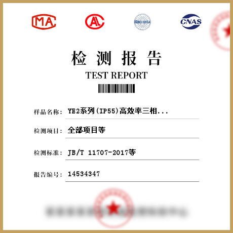 YE2系列(IP55)高效率三相异步电动机检测