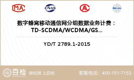 数字蜂窝移动通信网分组数据业务计费：TD-SCDMA/WCDMA/GSM网络检测