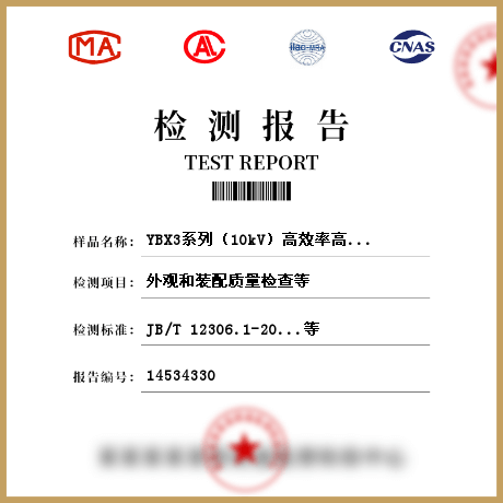 YBX3系列（10kV）高效率高压隔爆型三相异步电动机（机座号400～630）检测