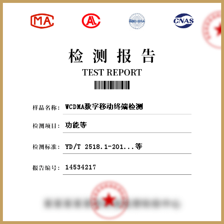 WCDMA数字移动终端检测