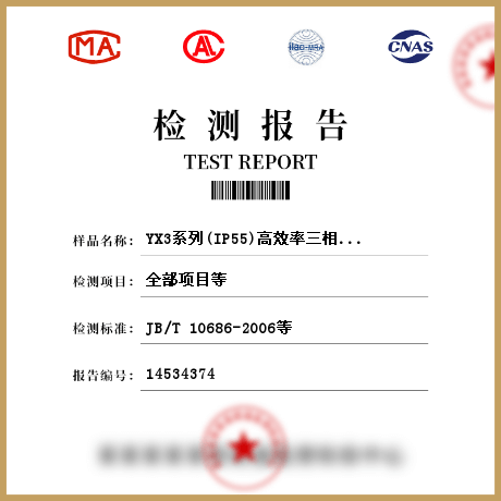 YX3系列(IP55)高效率三相异步电动机检测