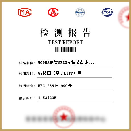 WCDMA网关GPRS支持节点设备（GGSN）检测