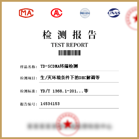 TD-SCDMA终端检测