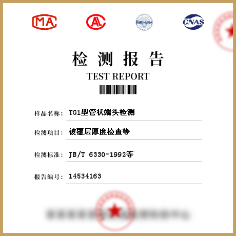 TG1型管状端头检测