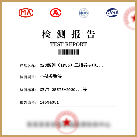 YE3系列（IP55）三相异步电动机检测