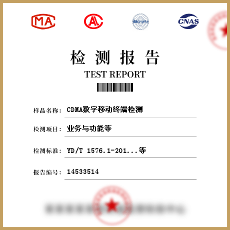 CDMA数字移动终端检测