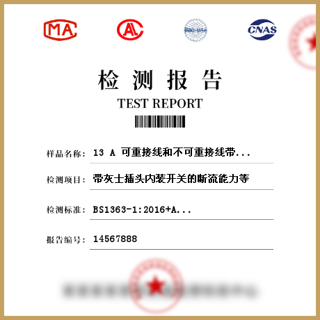 13 A 可重接线和不可重接线带灰士插头检测