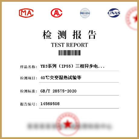 YE3系列（IP55）三相异步电动机技术条件（机座号63~355）检测