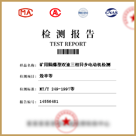 矿用隔爆型双速三相异步电动机检测