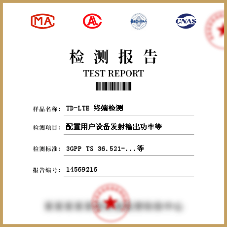 TD-LTE 终端检测