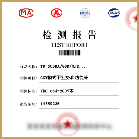 TD-SCDMA/GSM(GPRS)双模数字移动通信终端检测