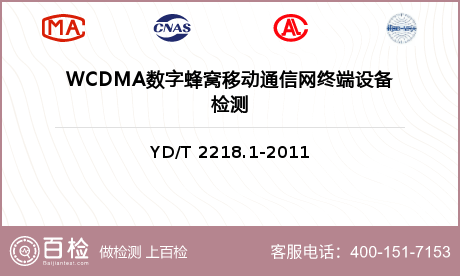 WCDMA数字蜂窝移动通信网终端设备检测