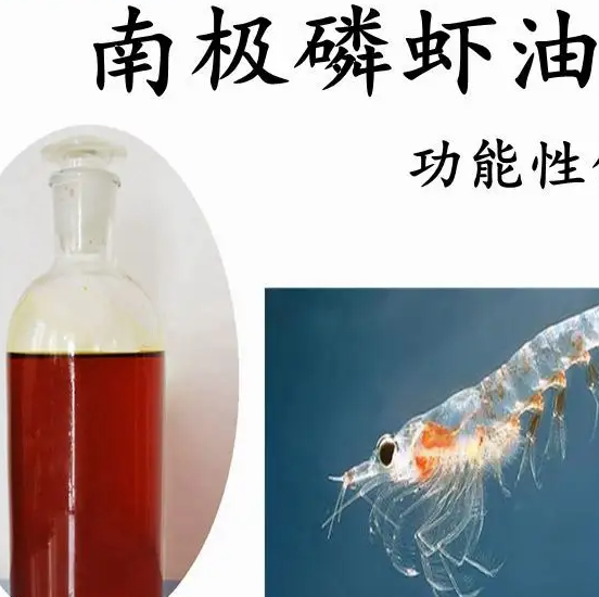 百检网解读磷虾油测定
