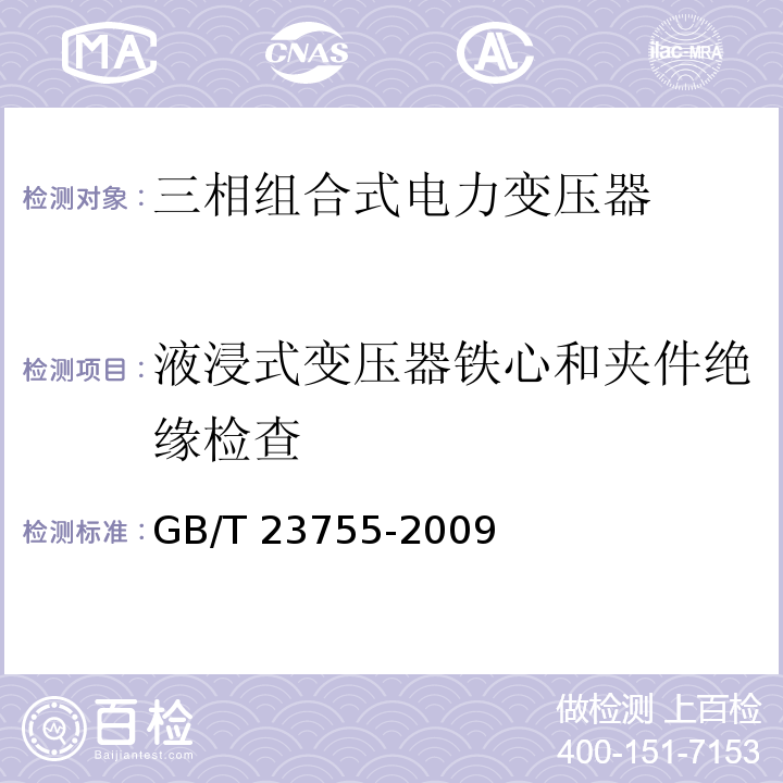 液浸式变压器铁心和夹件绝缘检查 GB/T 23755-2009 三相组合式电力变压器