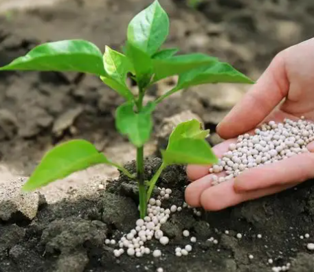 化肥肥料检测方法介绍