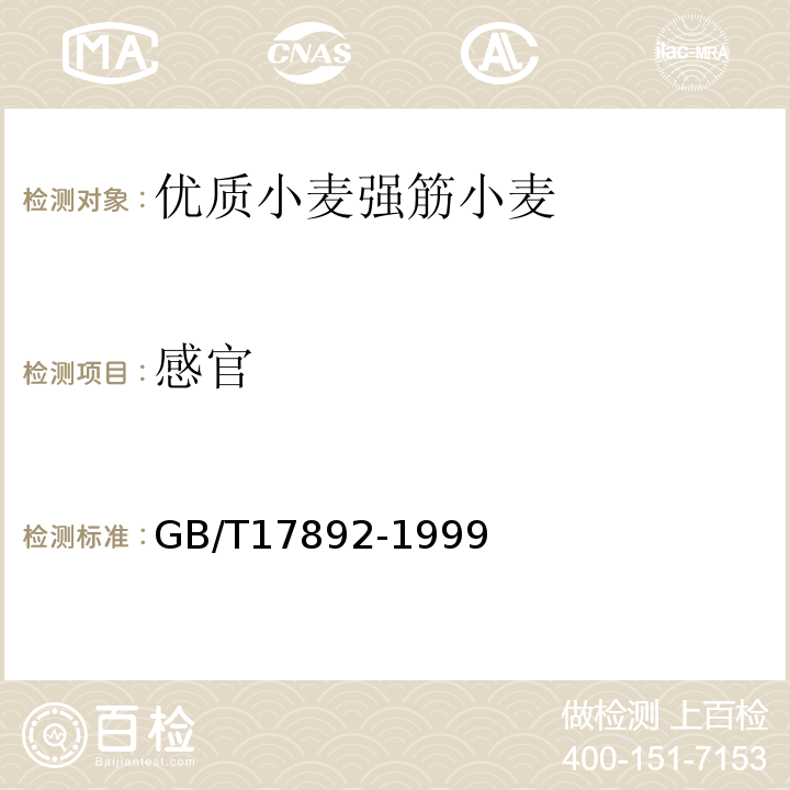 感官 优质小麦强筋小麦GB/T17892-1999