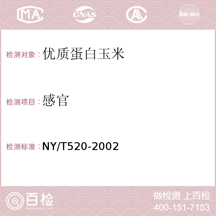 感官 NY/T 520-2002 优质蛋白玉米