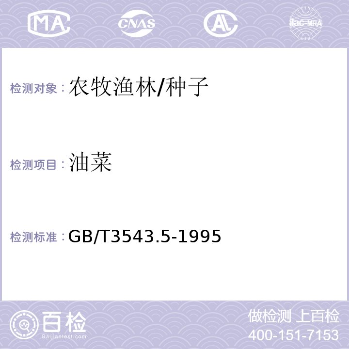 油菜 GB/T 3543.5-1995 农作物种子检验规程 真实性和品种纯度鉴定(附标准修改单1)