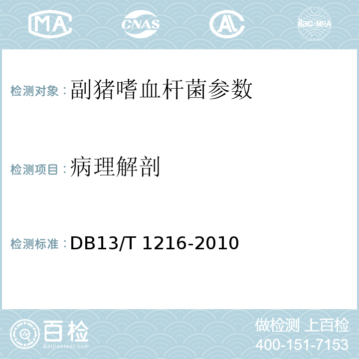 病理解剖 DB13/T 1216-2010 副猪嗜血杆菌病防治技术规程