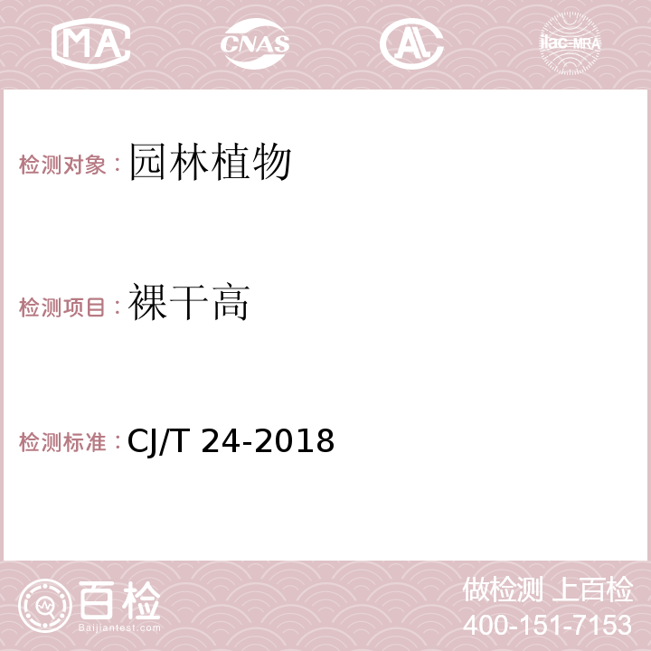 裸干高 CJ/T 24-2018 园林绿化木本苗