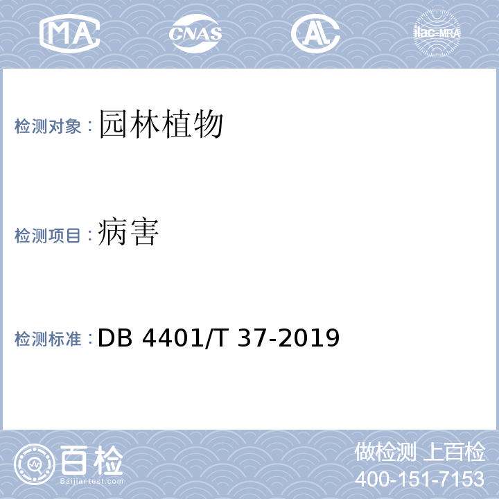 病害 园林绿化植物材料 DB 4401/T 37-2019