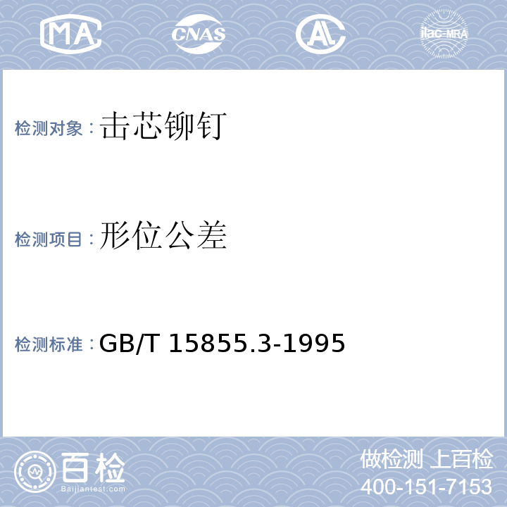 形位公差 GB/T 15855.3-1995 击芯铆钉技术条件