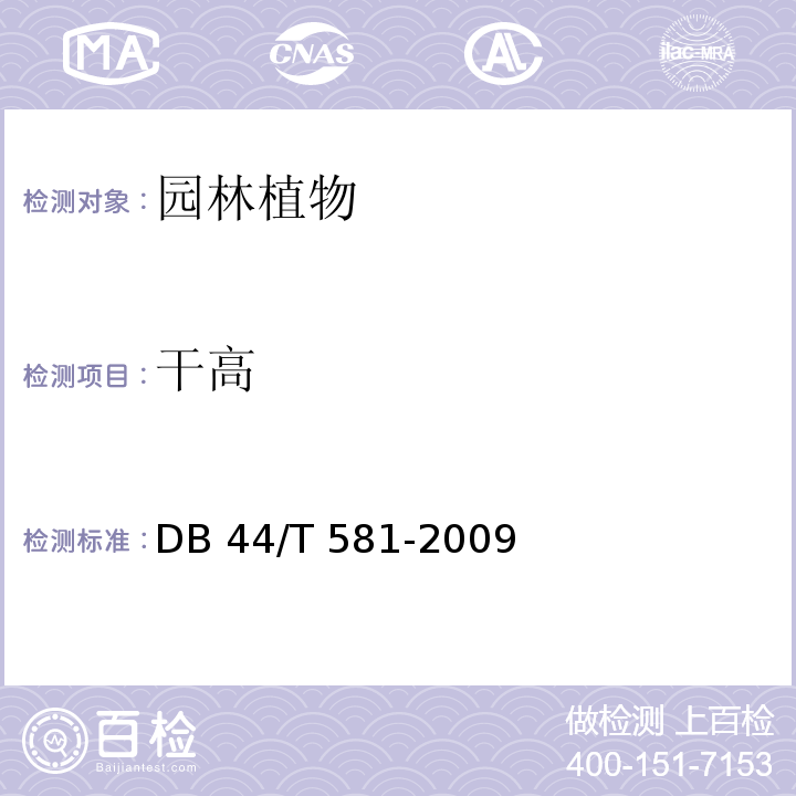 干高 广东城市绿化工程施工和验收范 DB 44/T 581-2009
