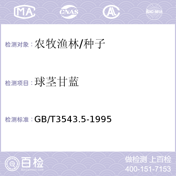 球茎甘蓝 GB/T 3543.5-1995 农作物种子检验规程 真实性和品种纯度鉴定(附标准修改单1)