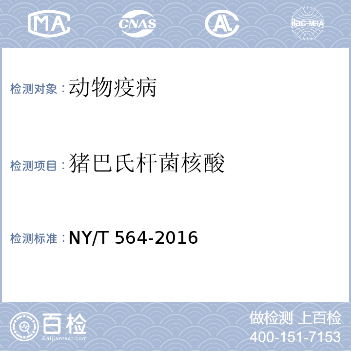 猪巴氏杆菌核酸 猪巴氏杆菌诊断技术NY/T 564-2016