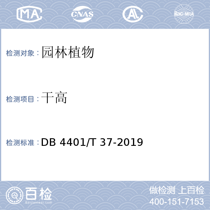 干高 DB 4401/T 37-2019 园林绿化植物材料 